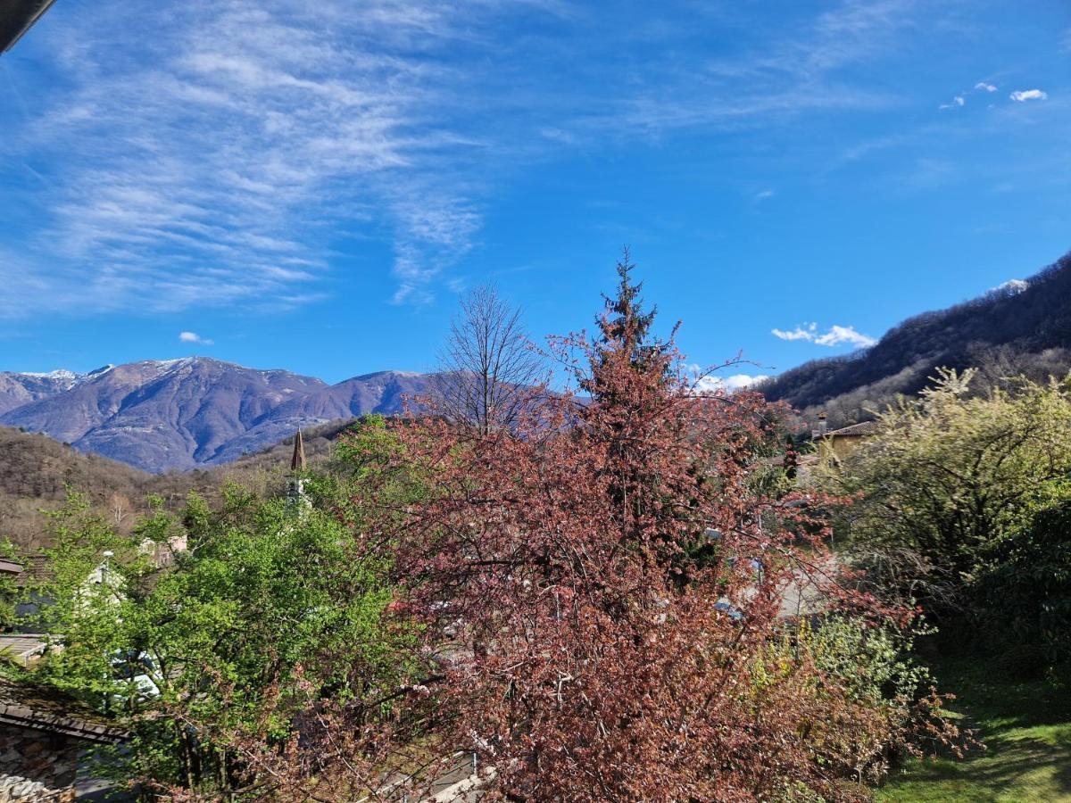 Hotel Zelindo Losone Exteriör bild